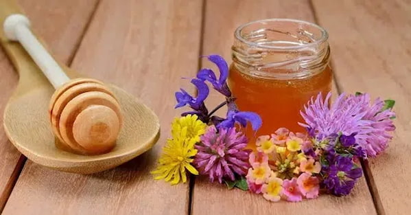 قیمت و خرید عسل شبدر خالص + فروش ارزان